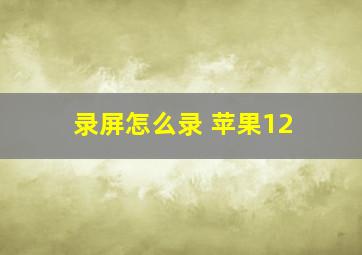 录屏怎么录 苹果12